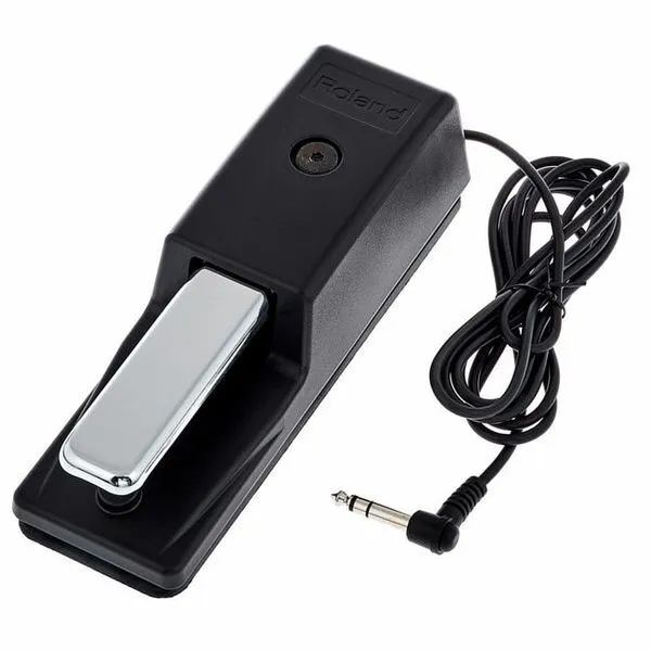Roland DP-10 Sustain Pedal