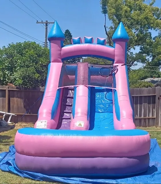 17# Wet Purple Princess Slide 14f