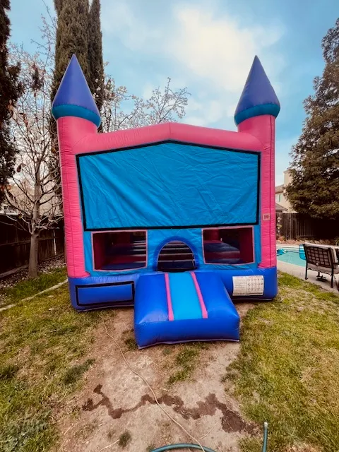 #34 Pink and blue castle 