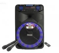 Dance speaker and karaokee