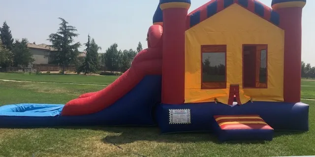 #41 Castle slide 101z