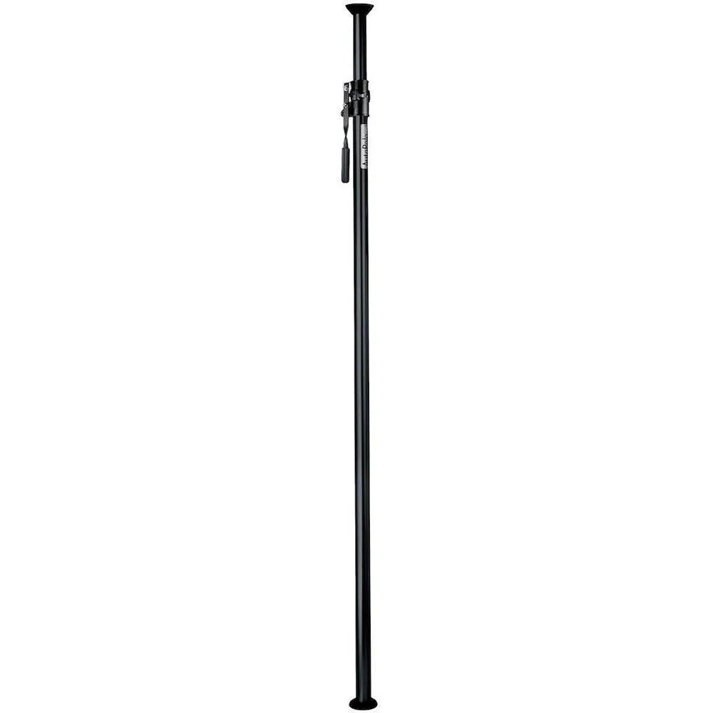 Autopole (2)