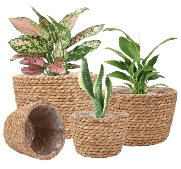 Woven Seagrass Planter Baskets