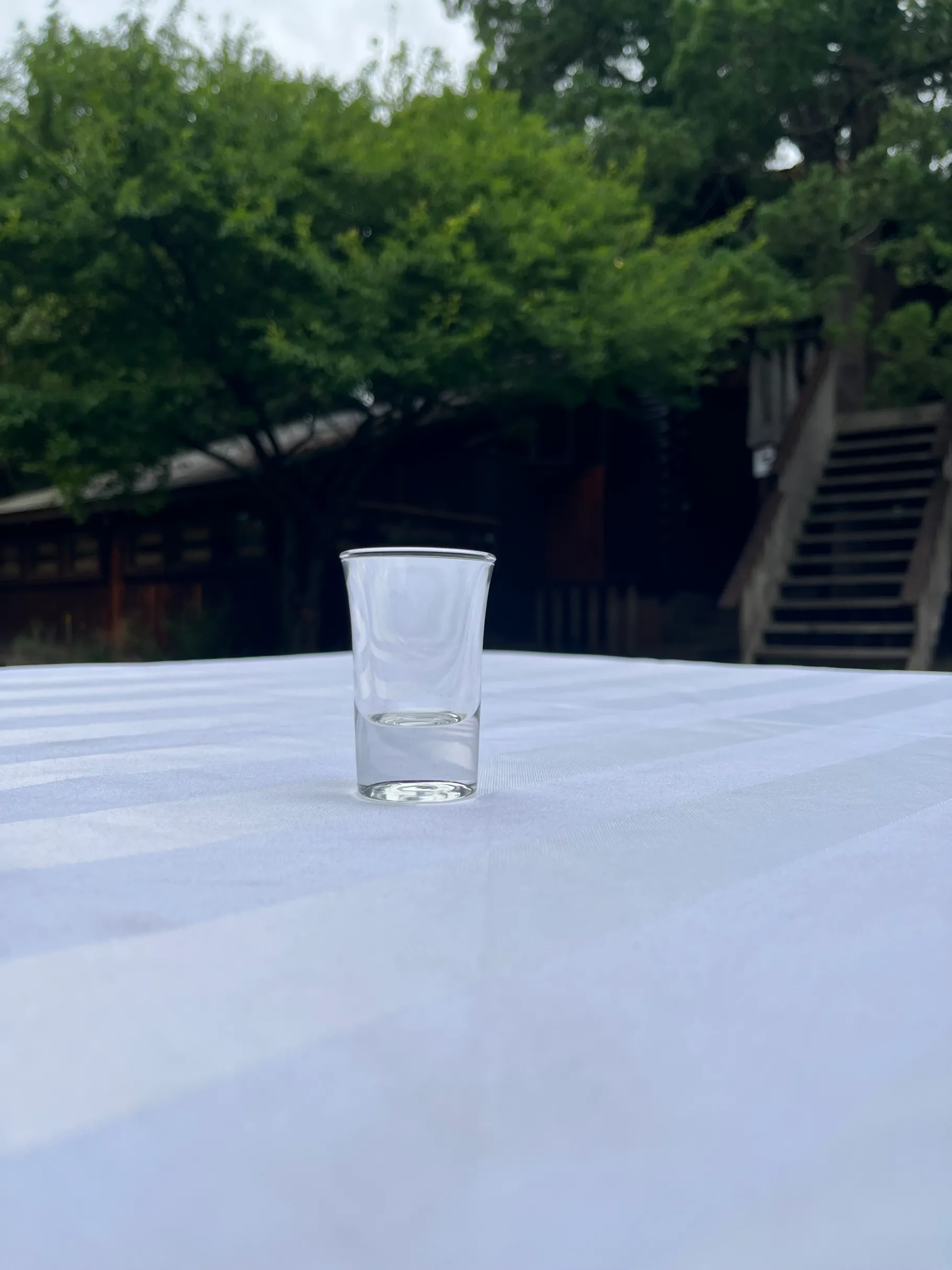 Shooter Single - Tulip Small Glass