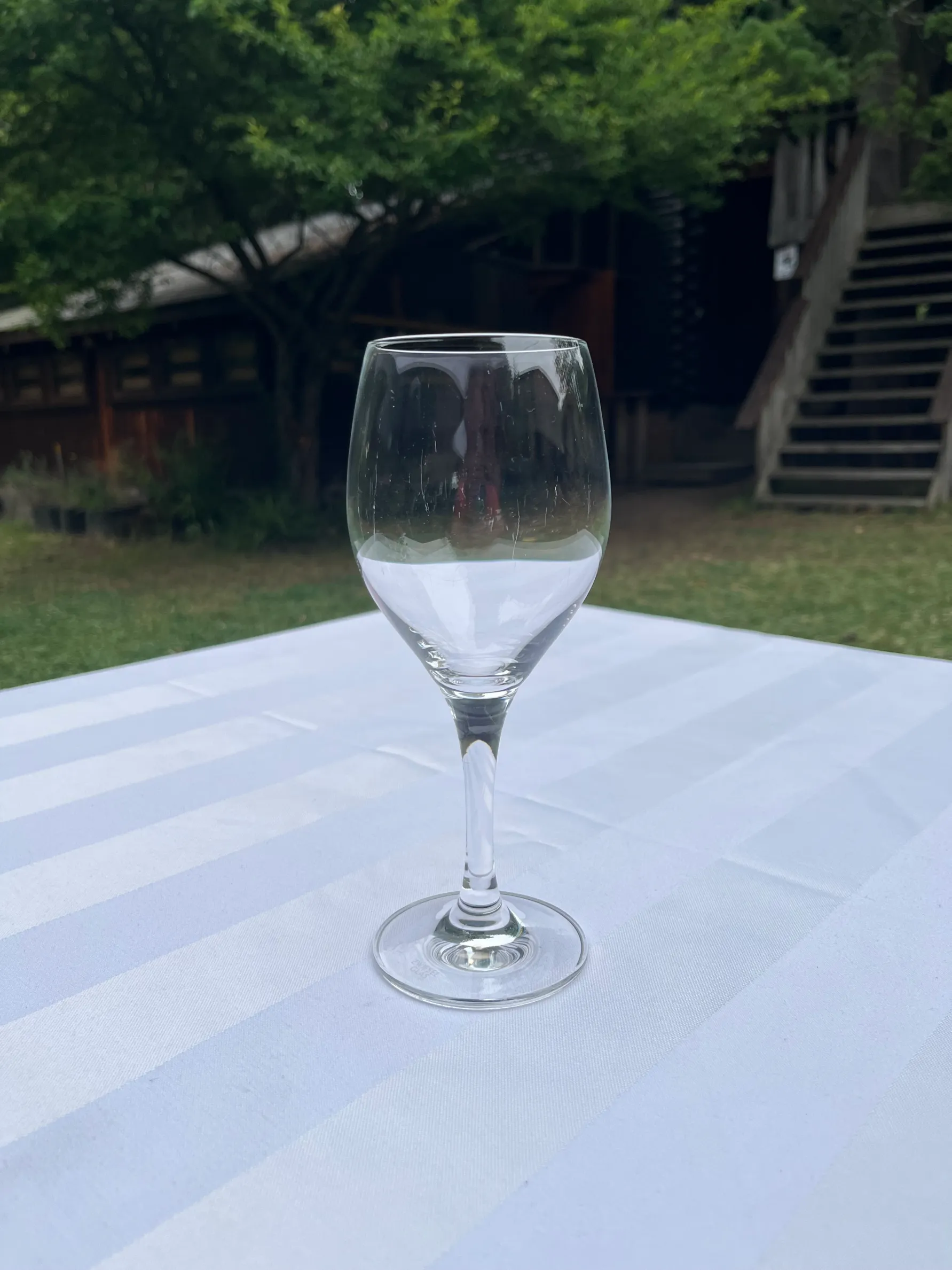 Mondial Crystal Red Wine Glass