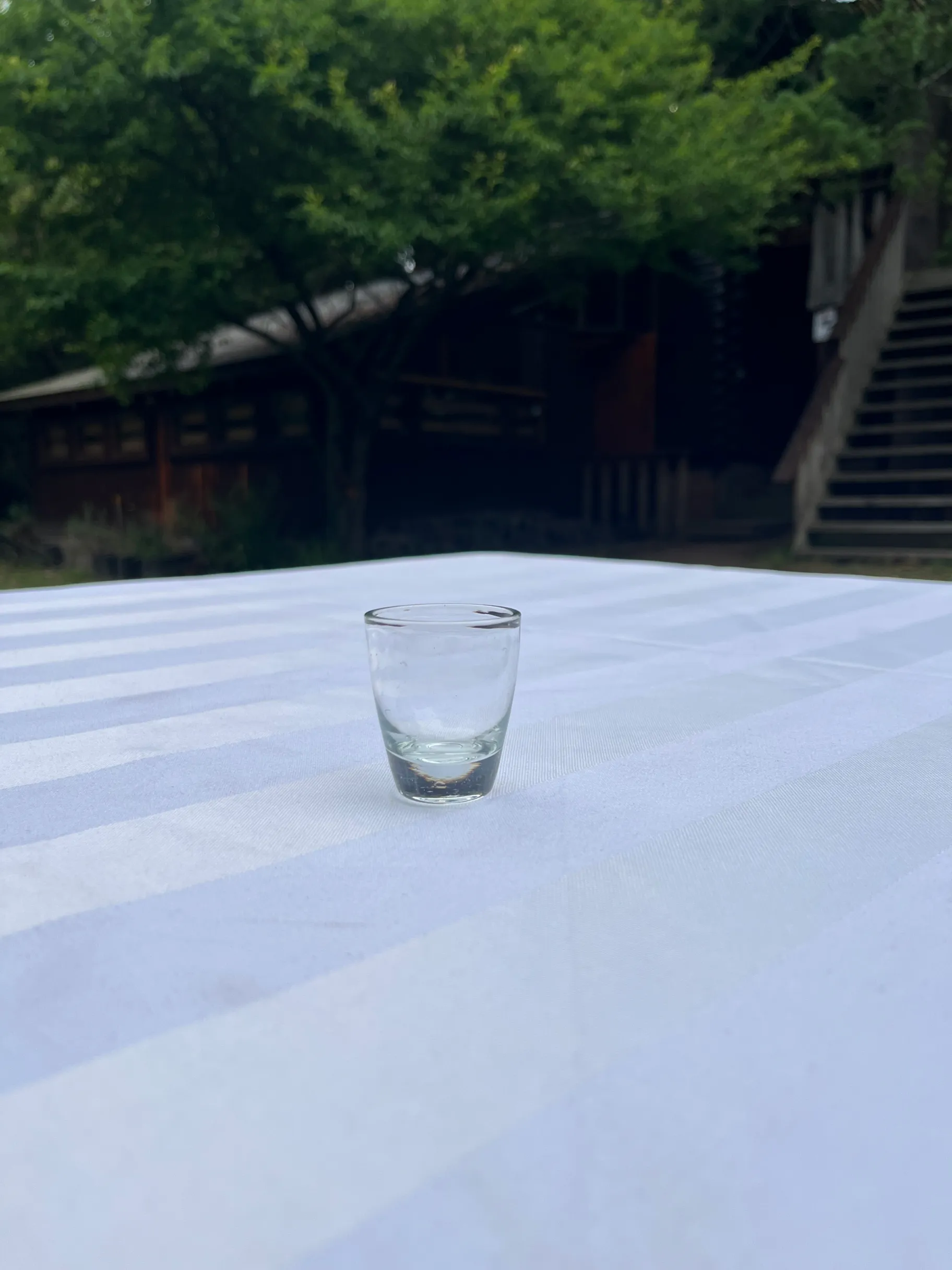 Shooter Single - Standard Glass