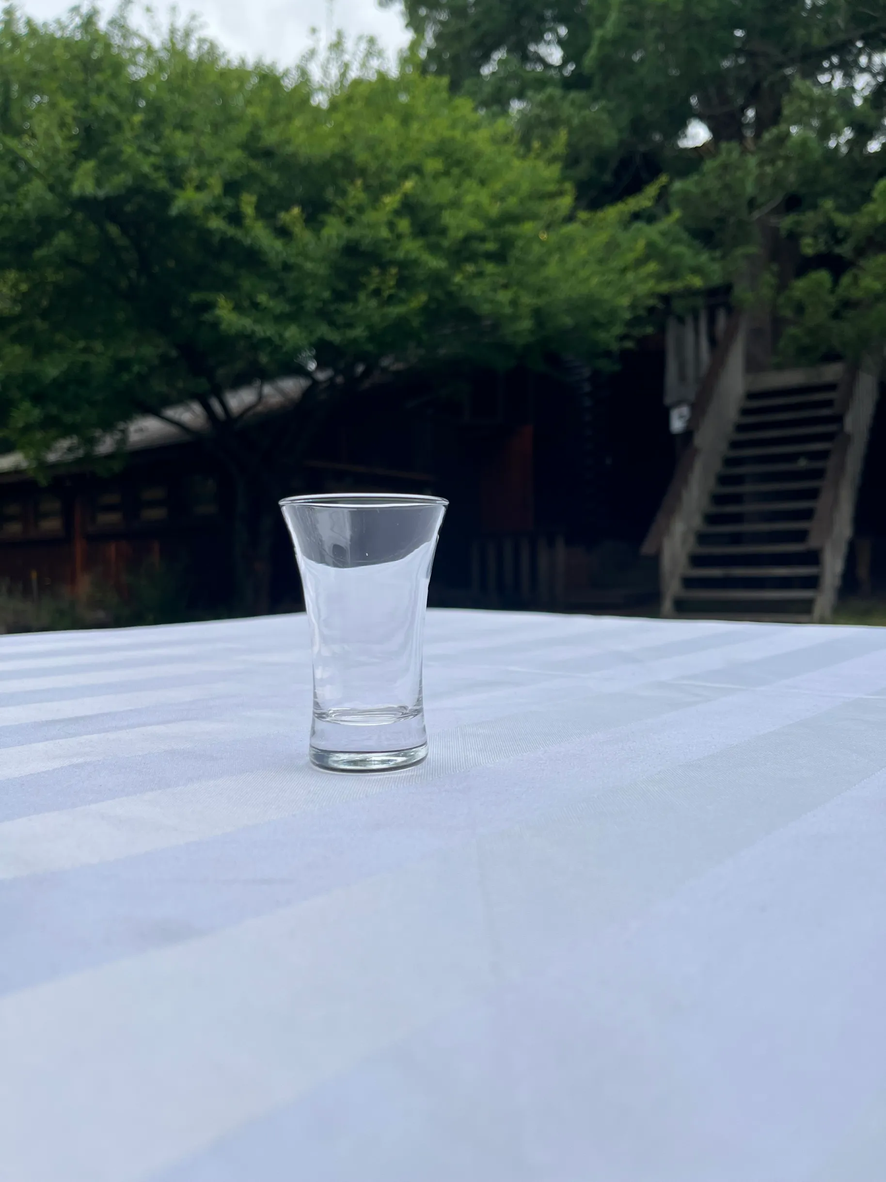 Shooter Double - Tulip Tall Glass