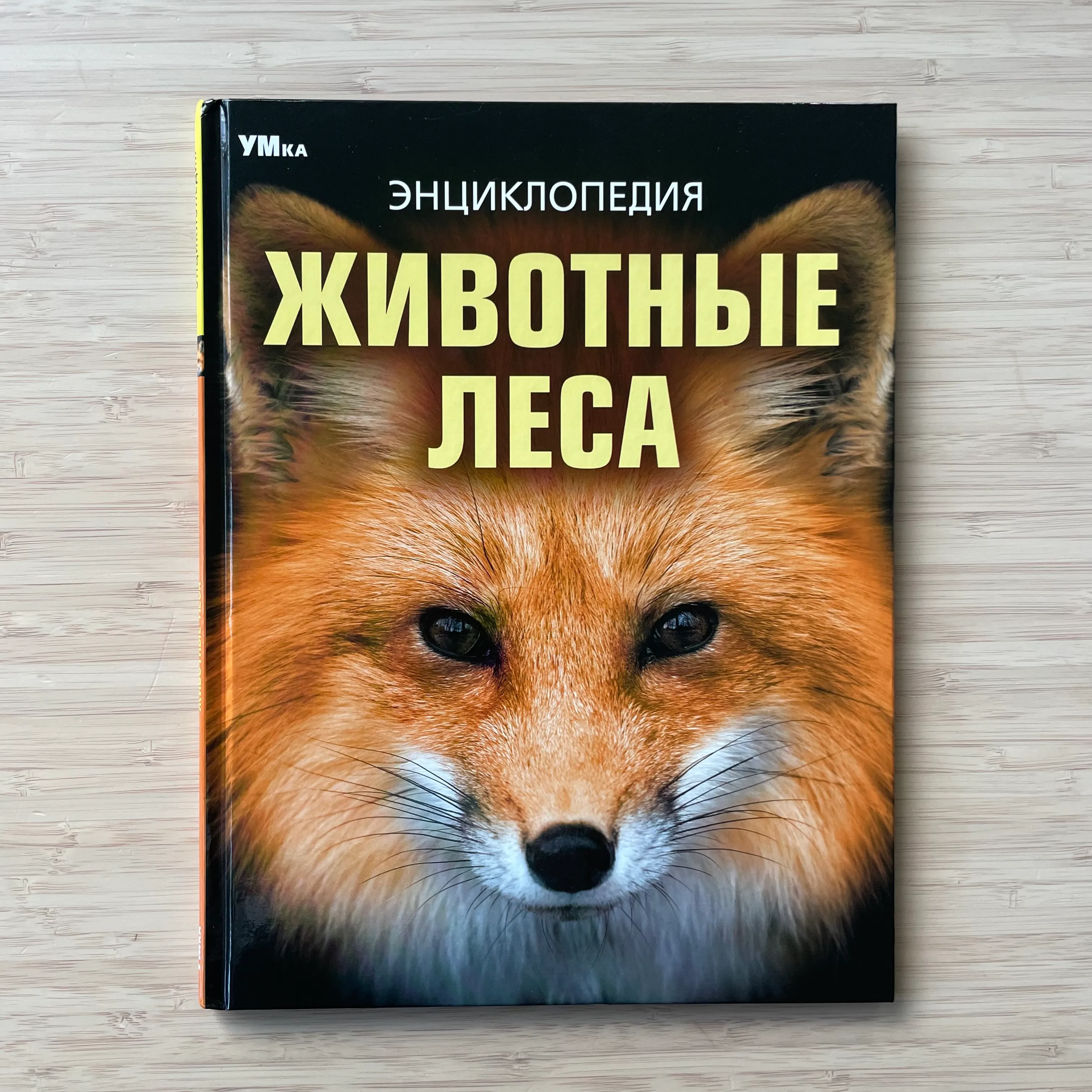 Животные леса. Энциклопедия