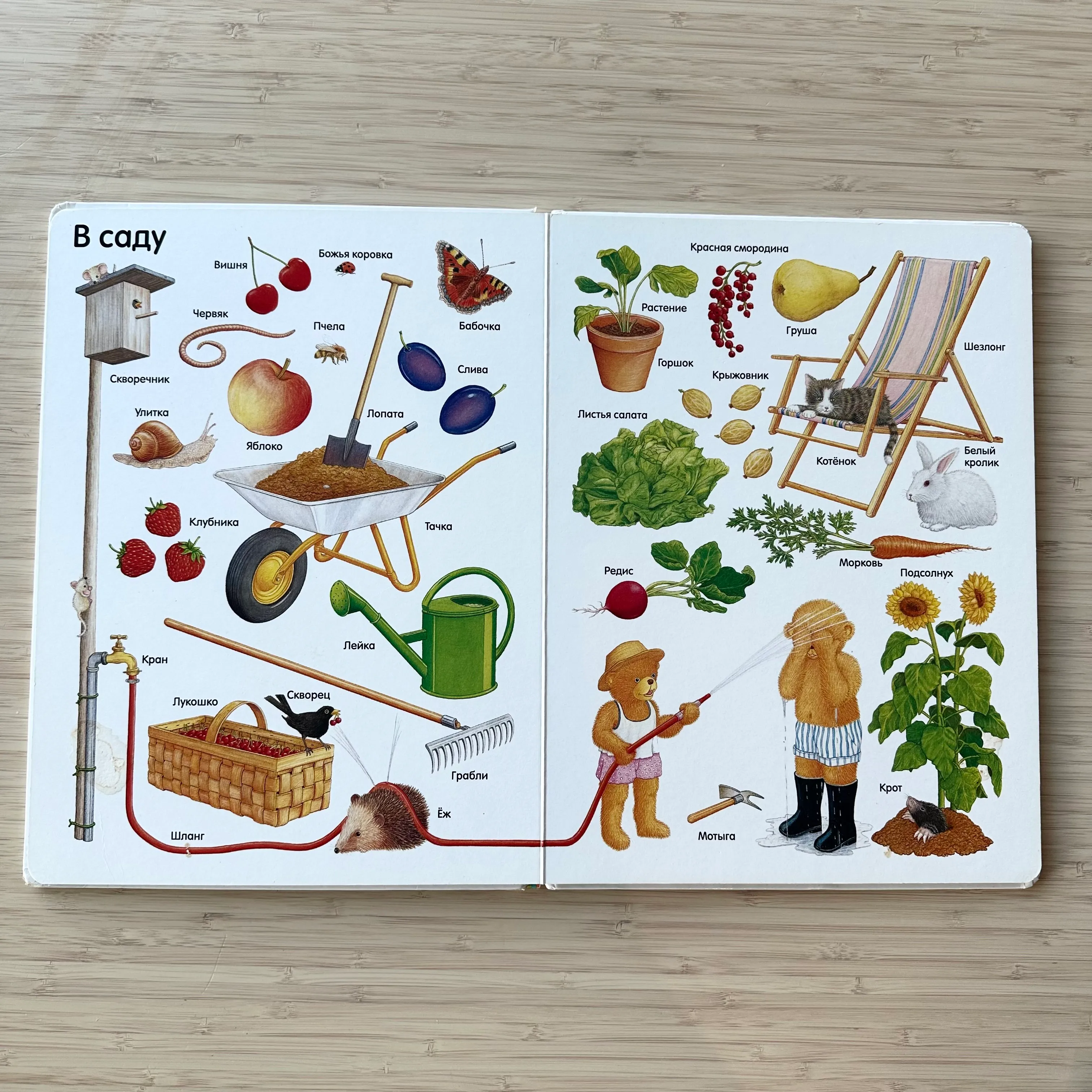 Мои первые слова в картинках