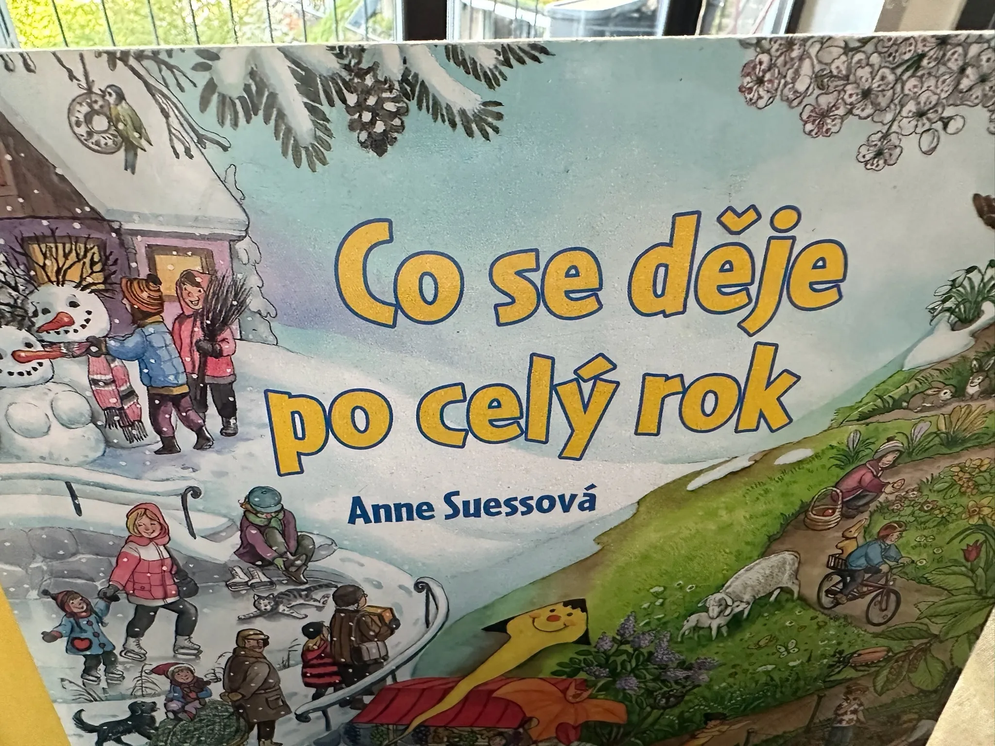 Co se deje po cely rok