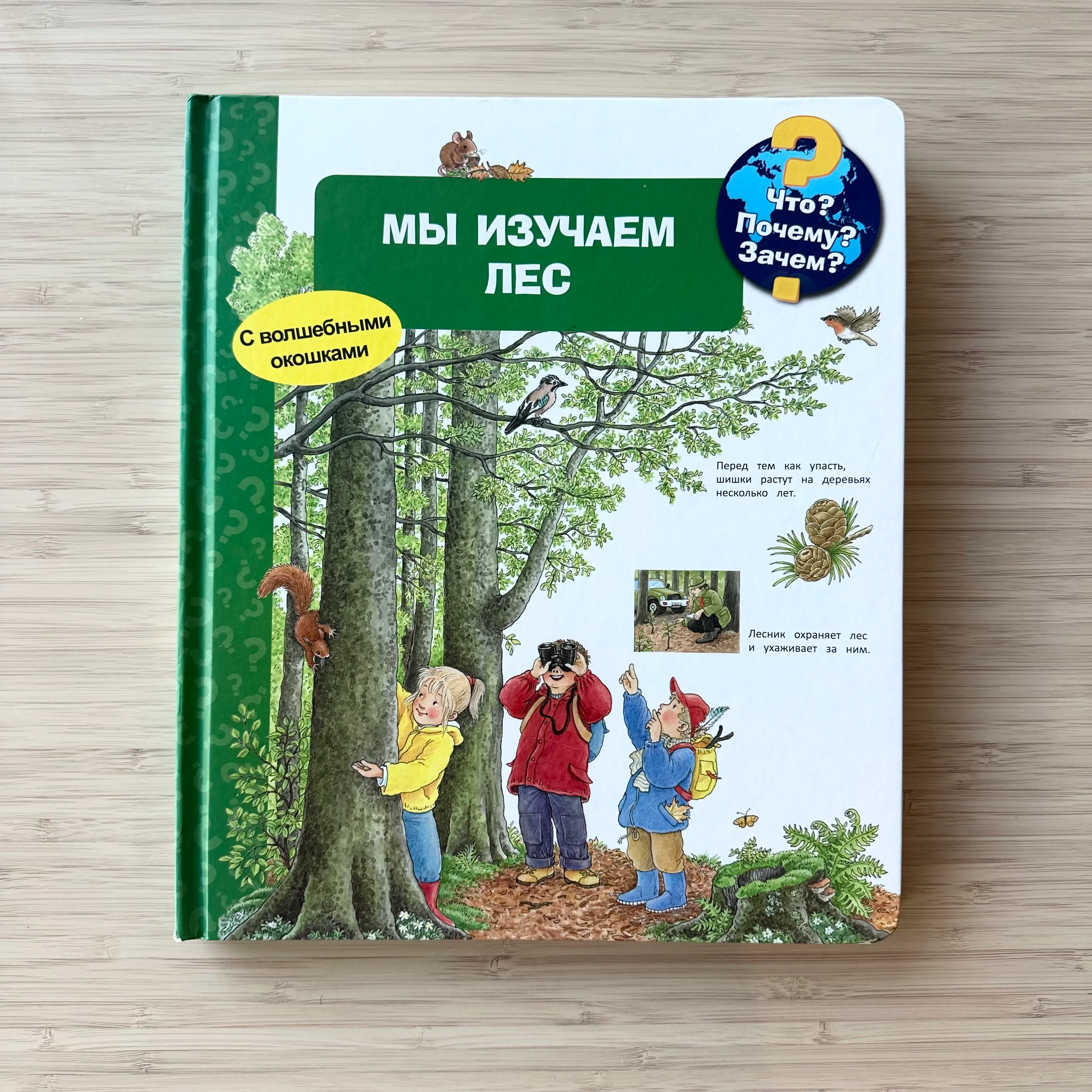 Мы изучаем лес (с окошками)