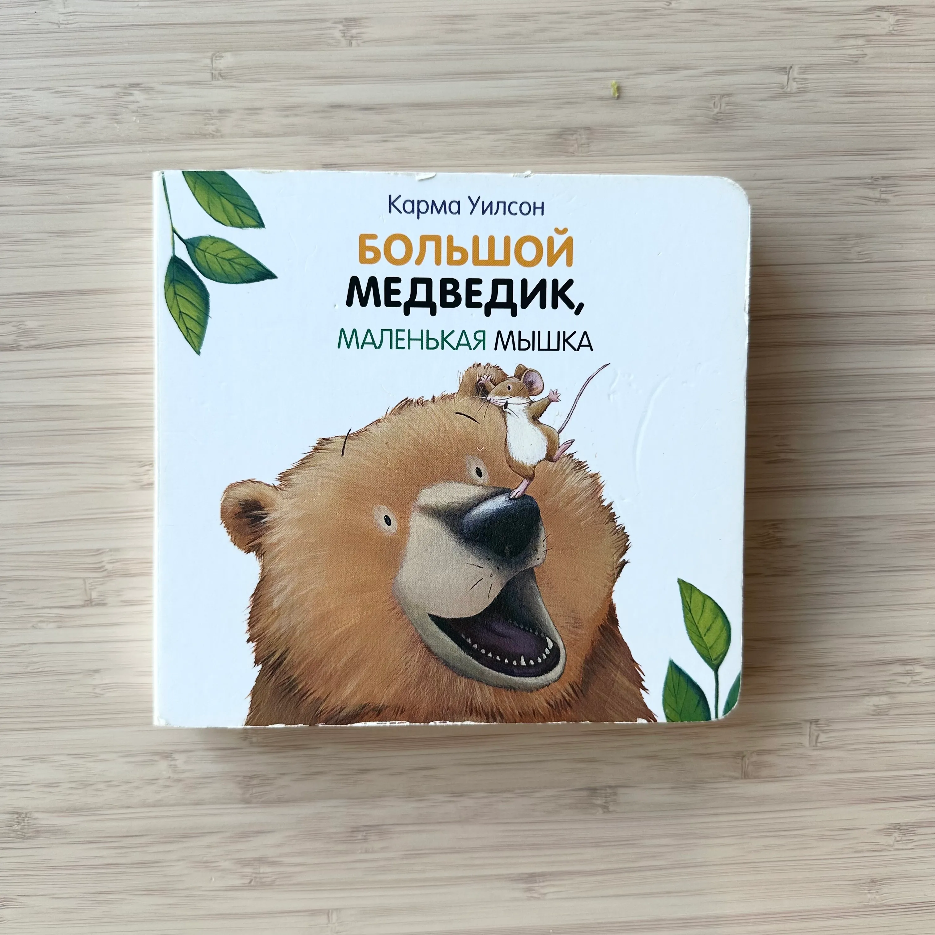 Большой медведик, маленькая мышка