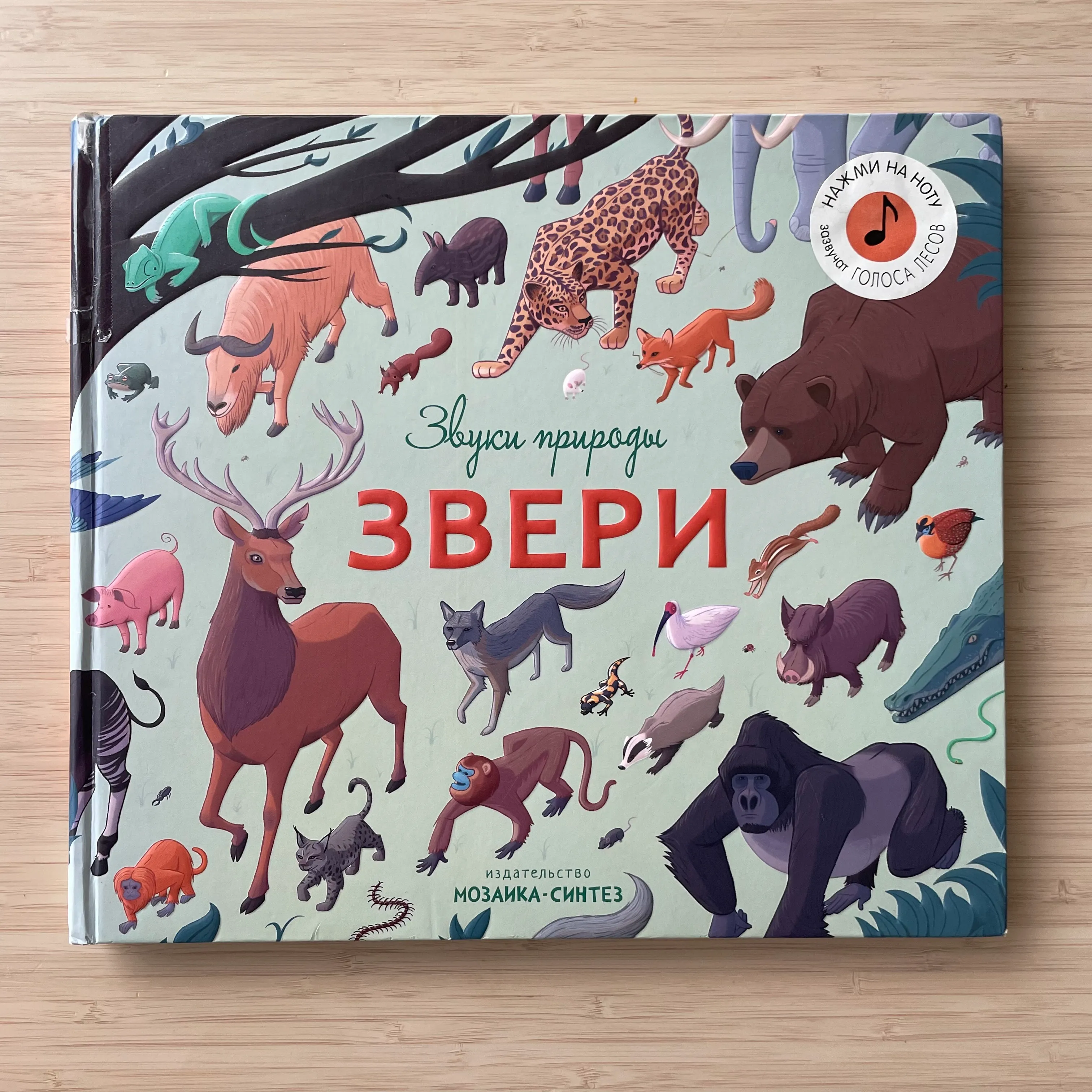 Звери. Звуки природы