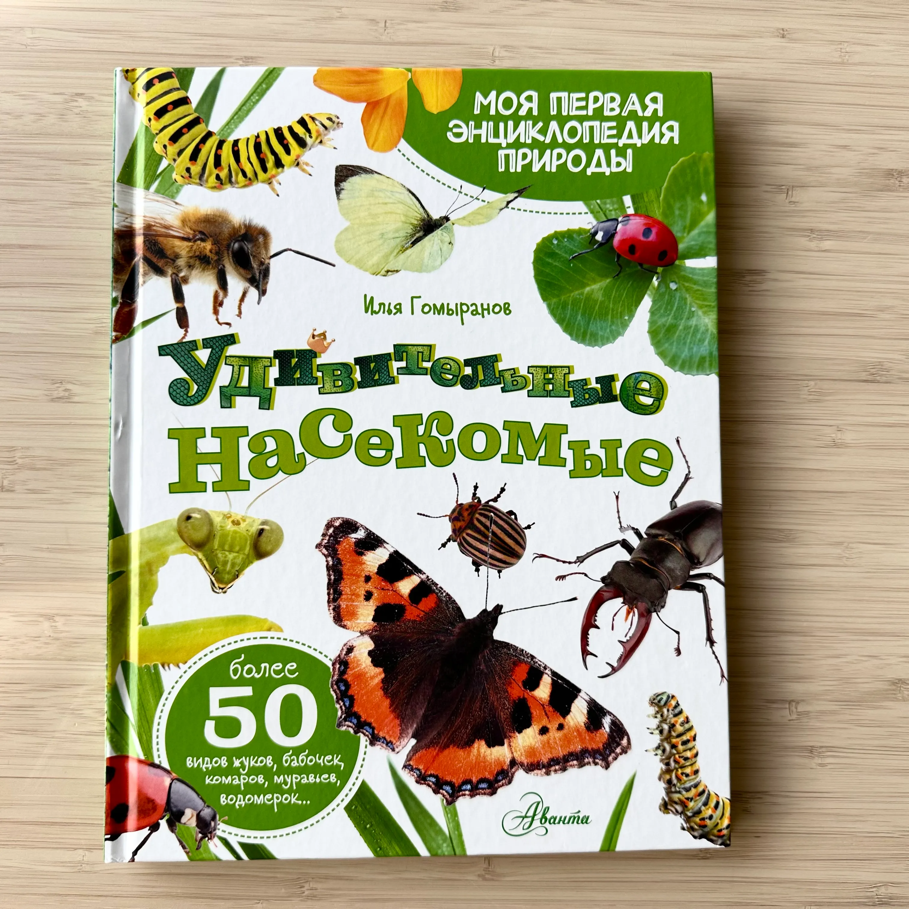 Удивительные насекомые