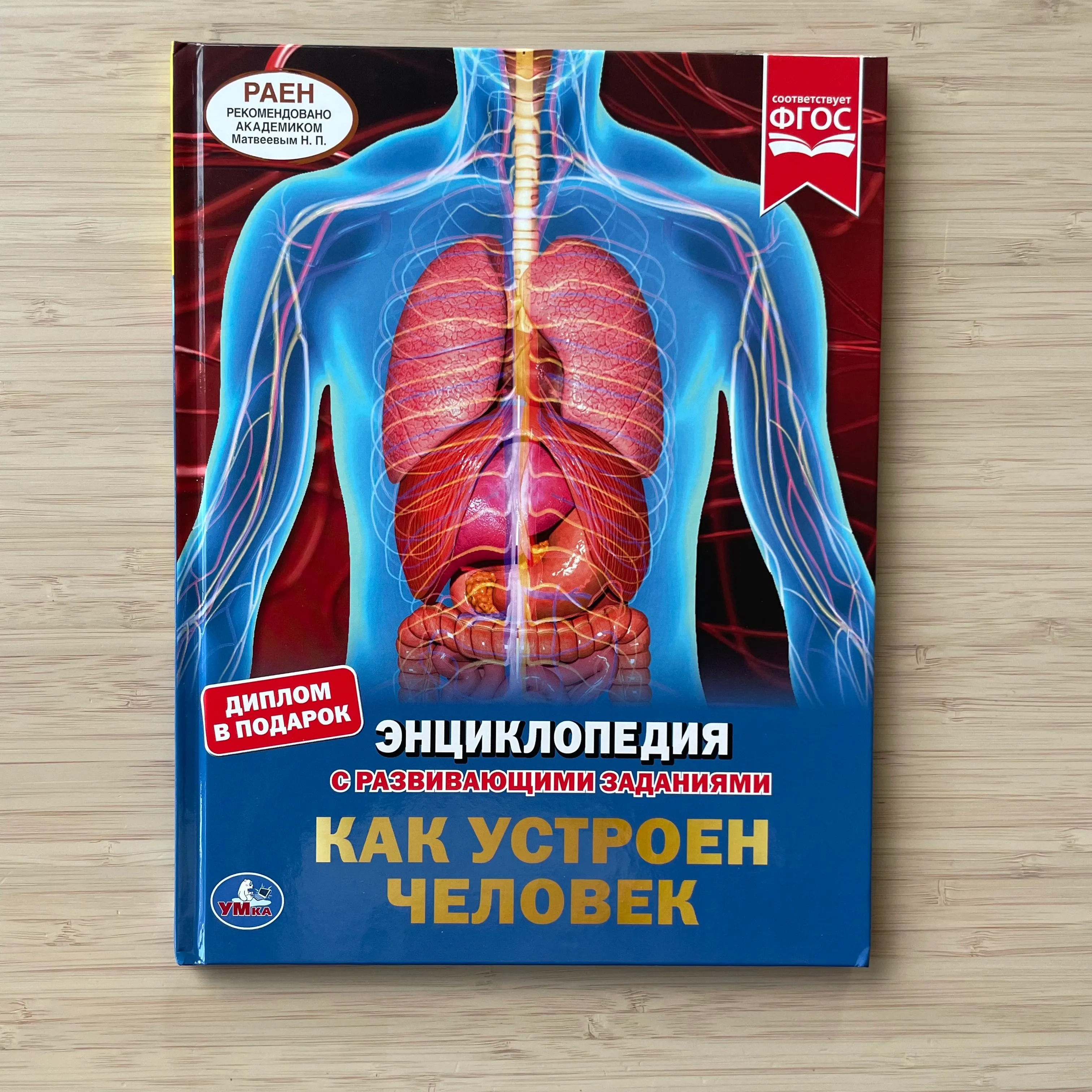 Как устроен человек. Энциклопедия с развивающими заданиями