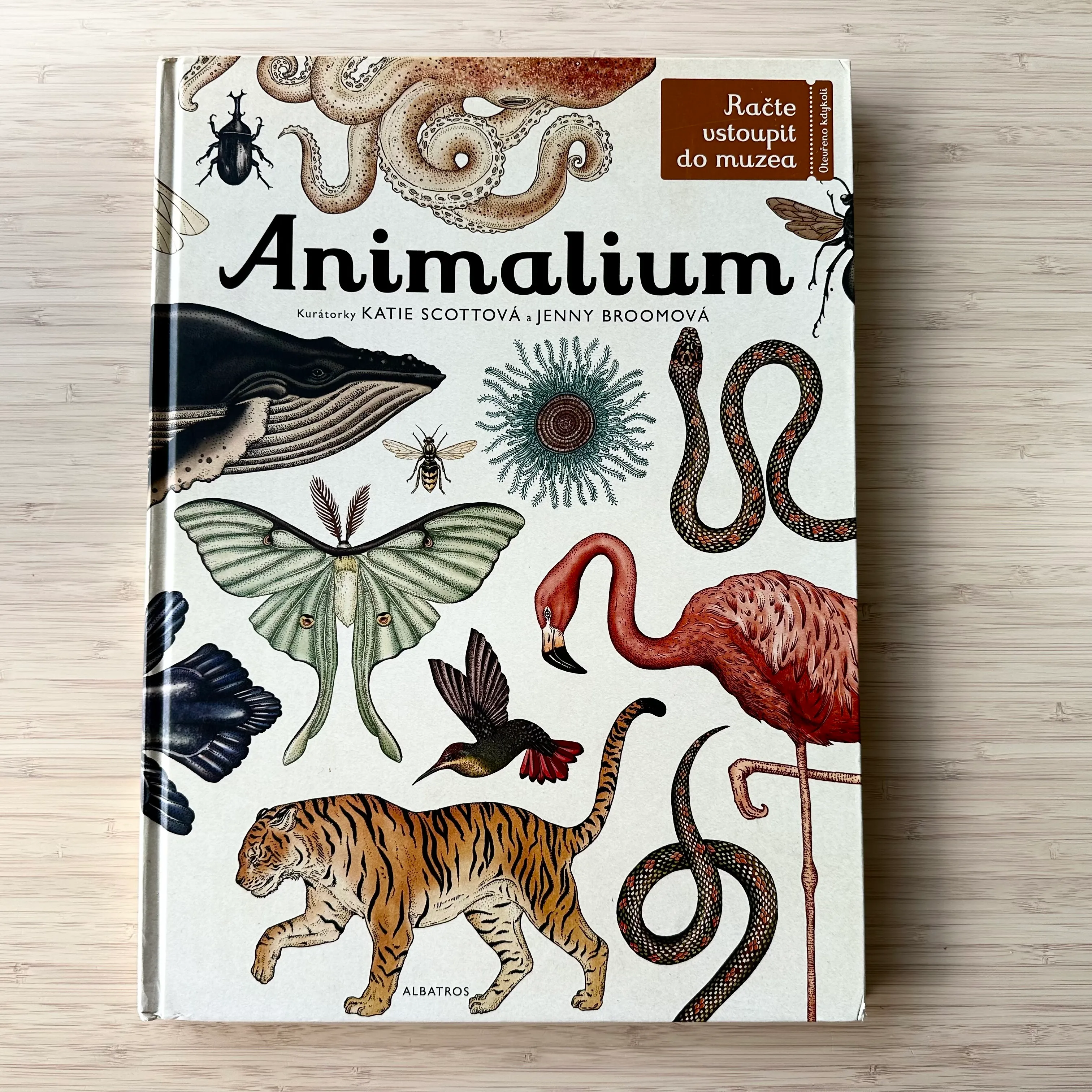 Animalium