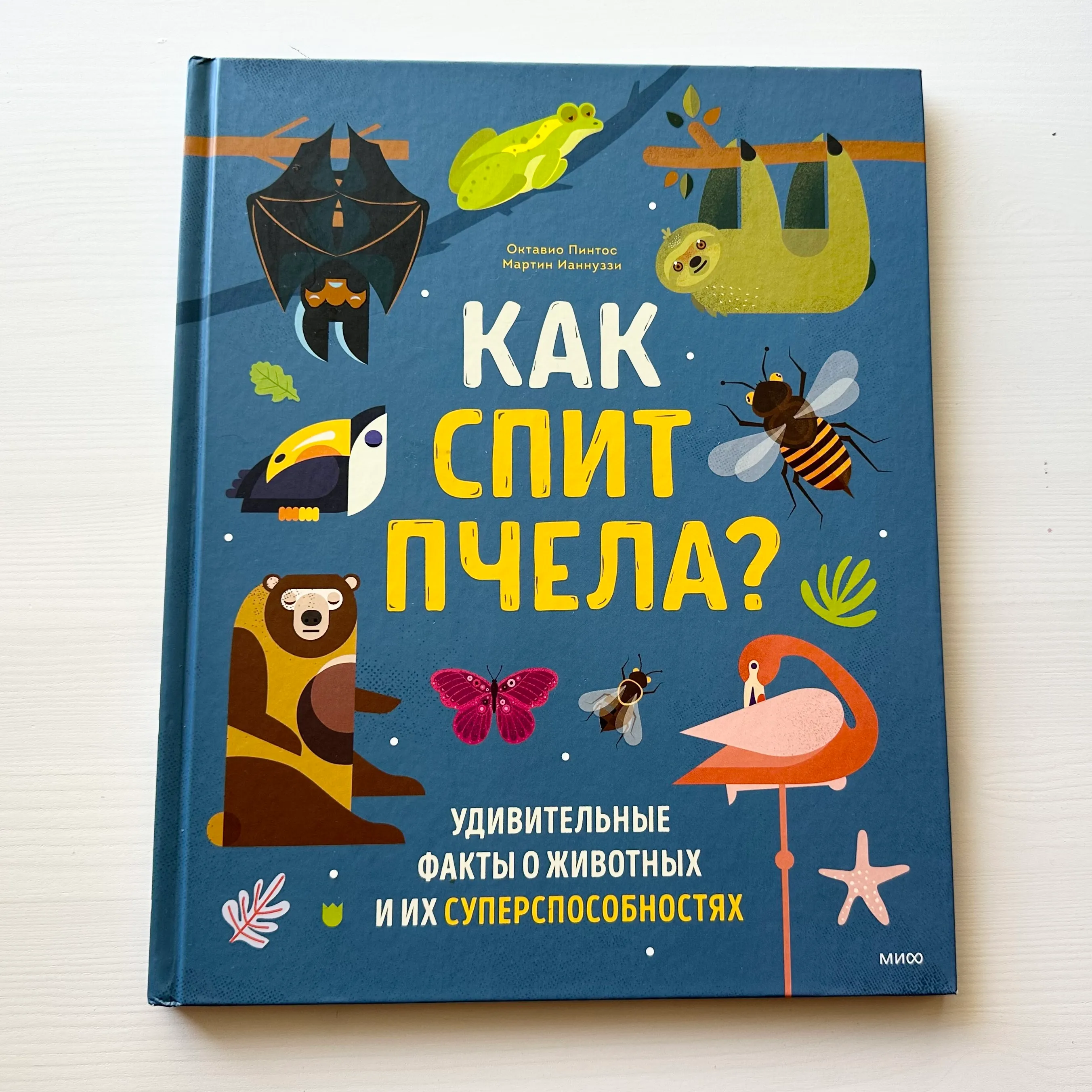 Как спит пчела?