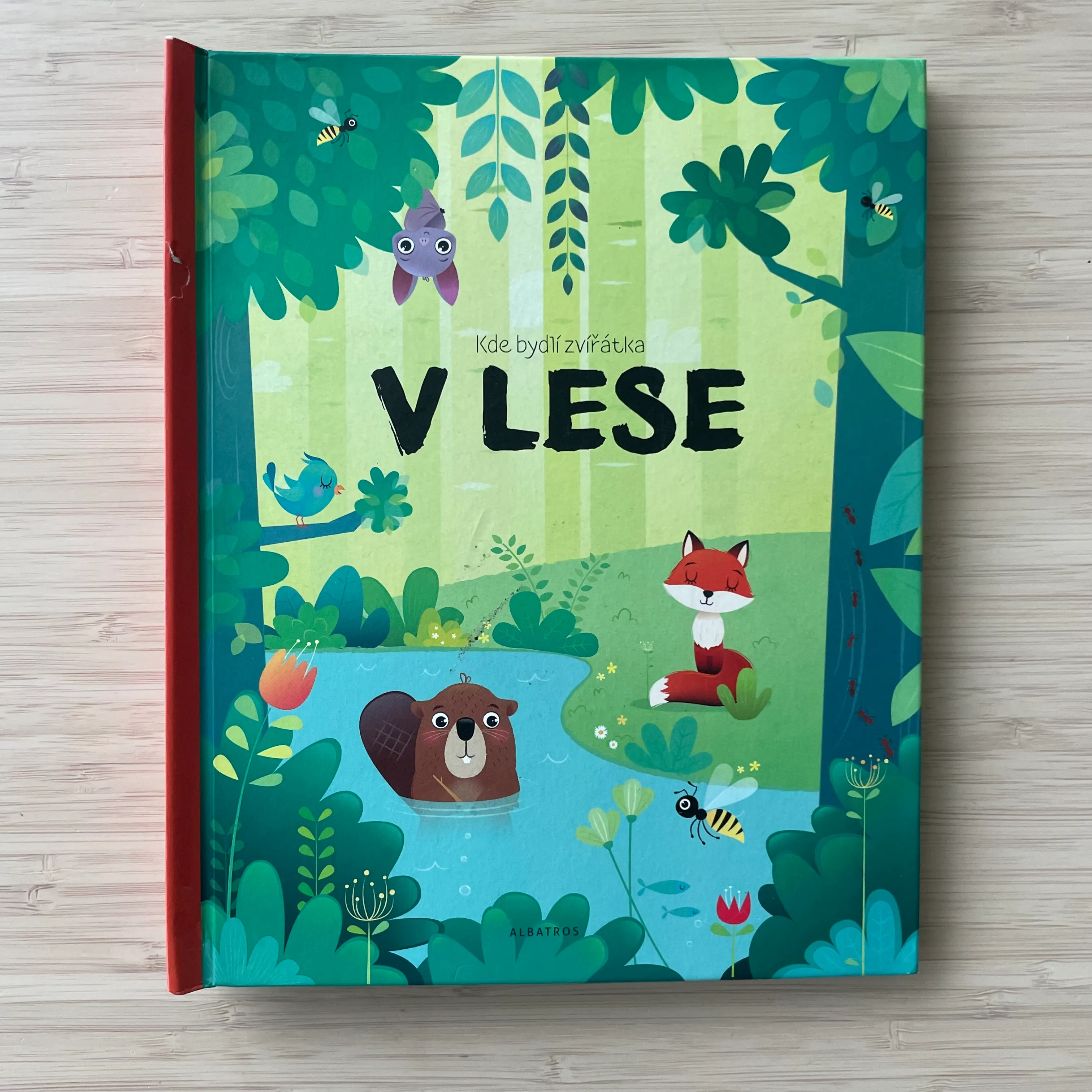  Kde bydlí zvířátka: V lese