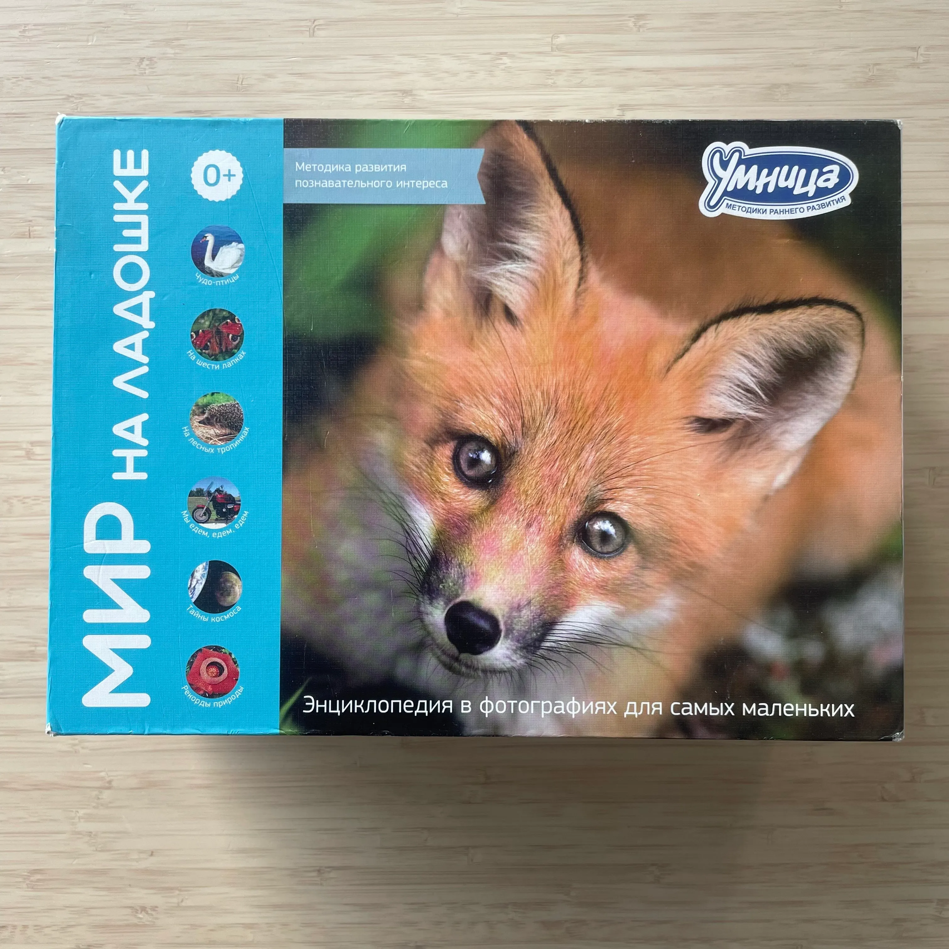 Умница. Мир на ладошке