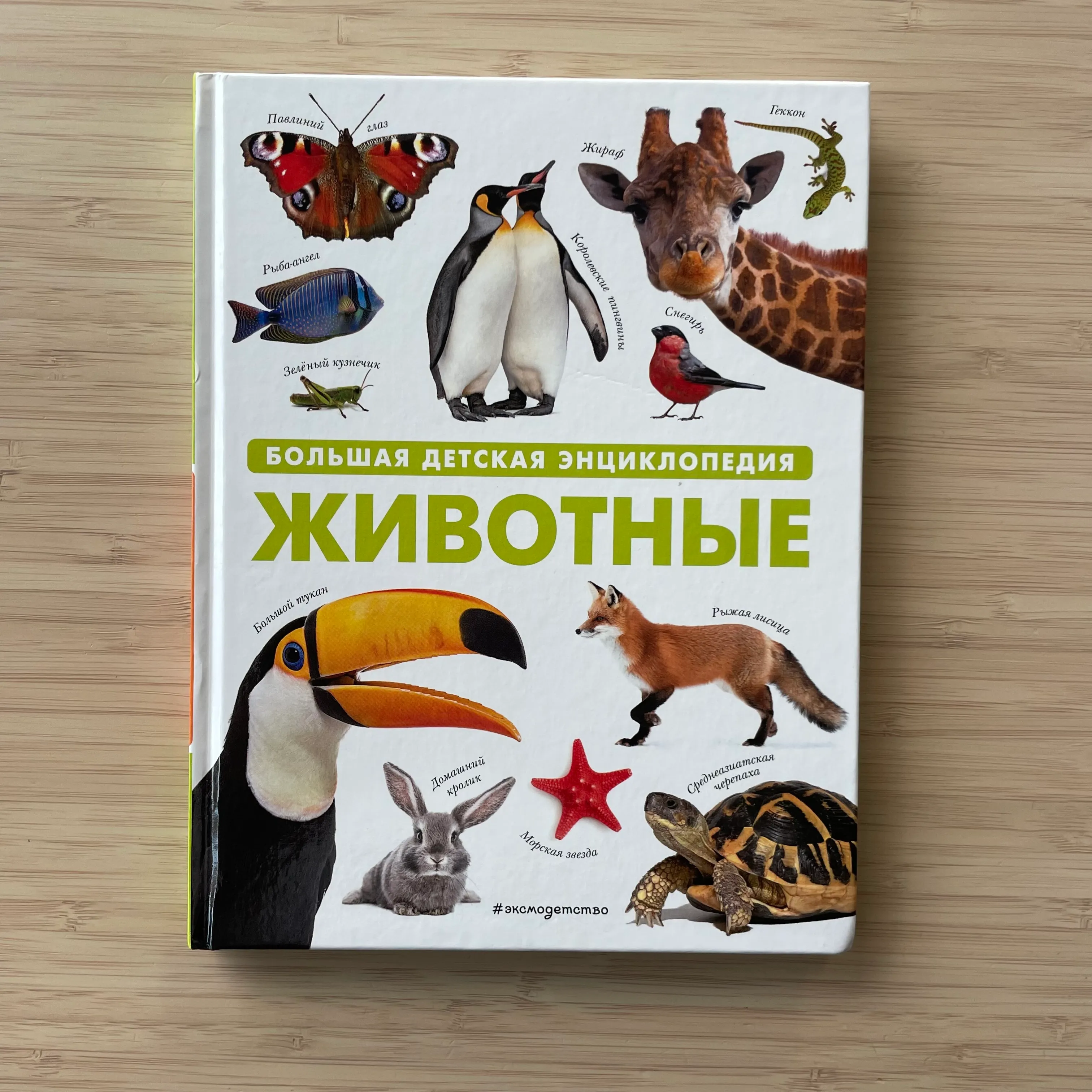 Большая детская энциклопедия Животные (издательство: Эксмодетство)