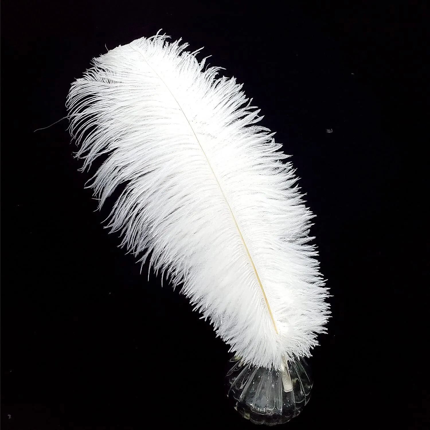 White Ostrich Feathers (50)