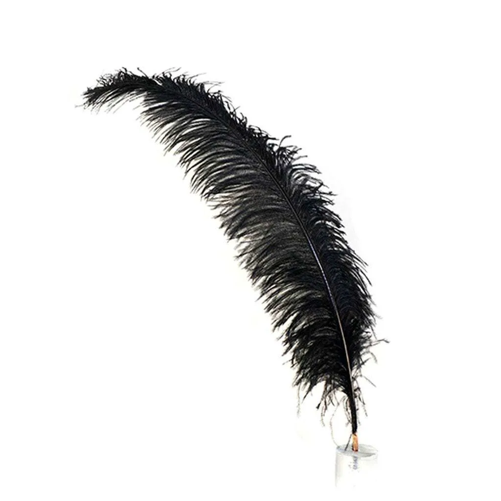 Black Ostrich Feathers (50)