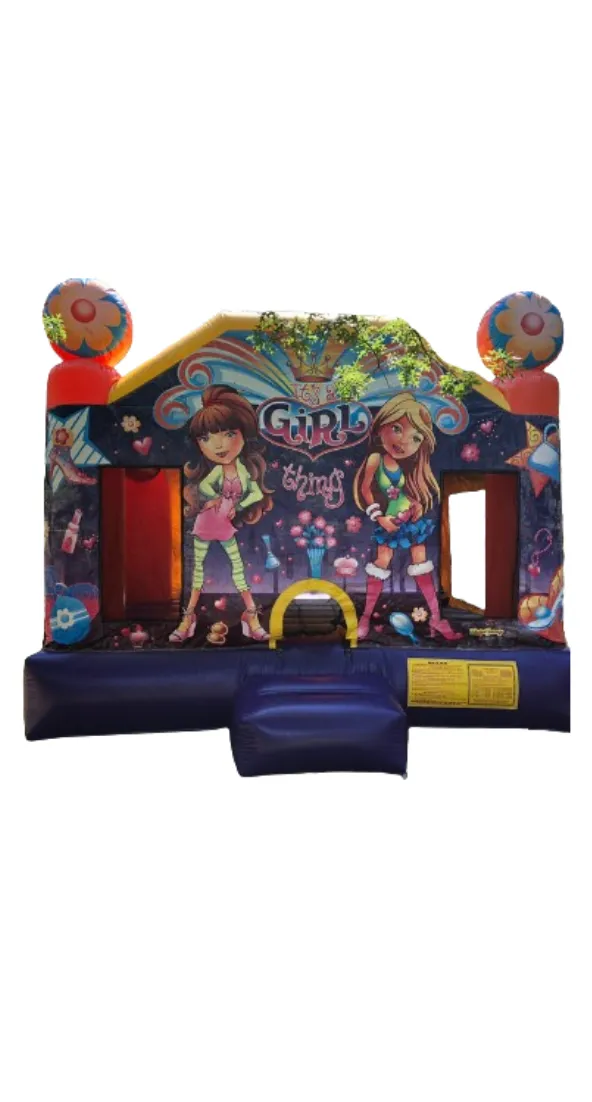 It's a Girl Thing Bouncer