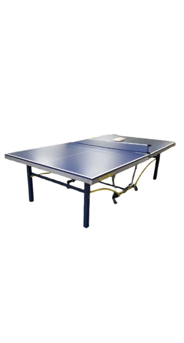 Ping Pong Table