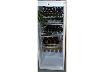 Flessenfrigo 250L