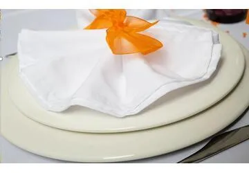 Servet 45/45 LW - wit