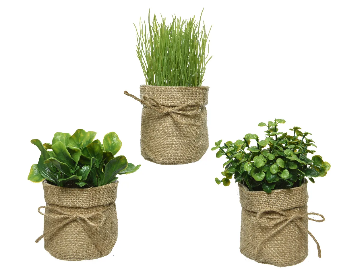 kruiden minimum afname 2 sets