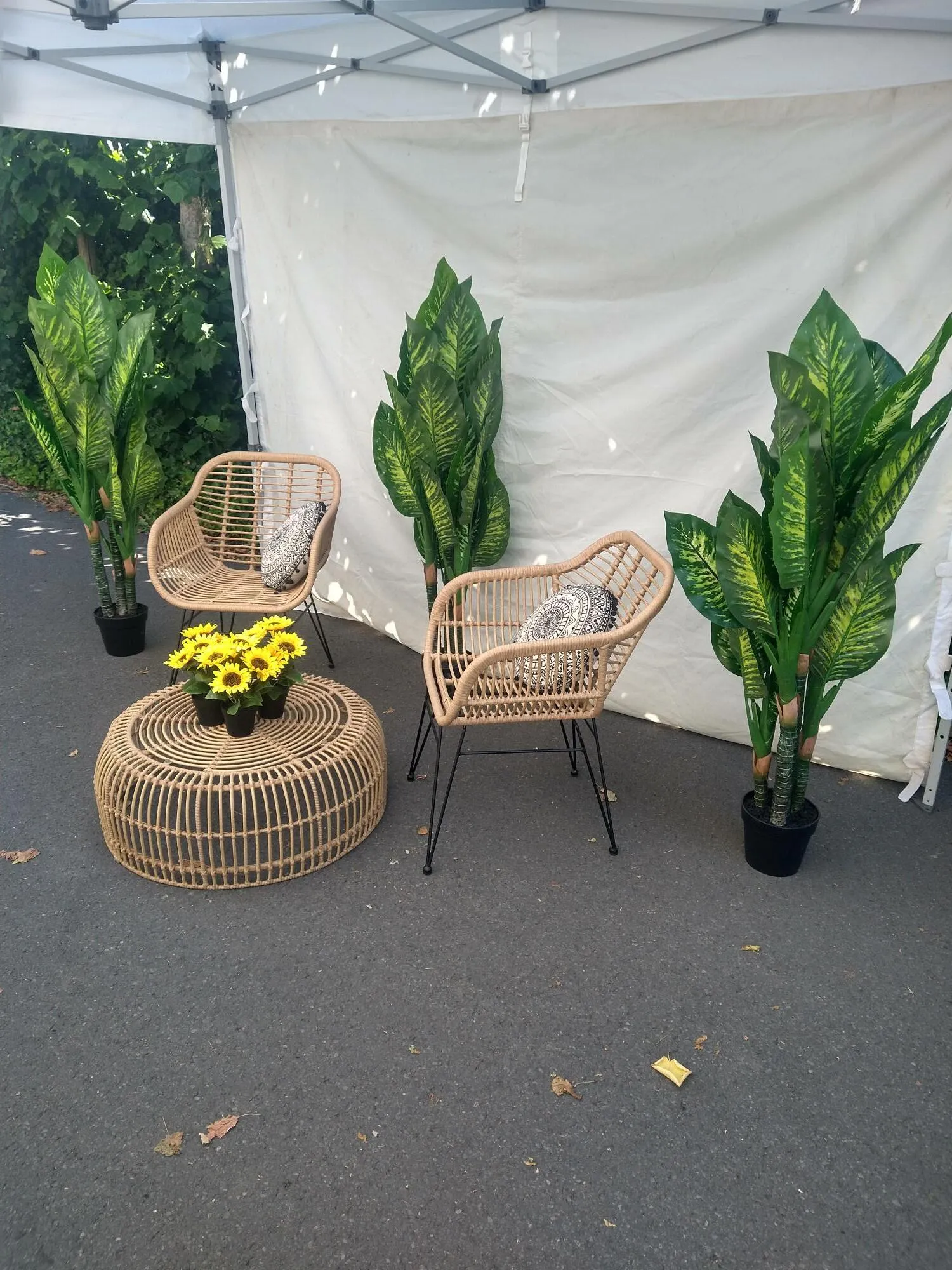 Boho Garden Vibe