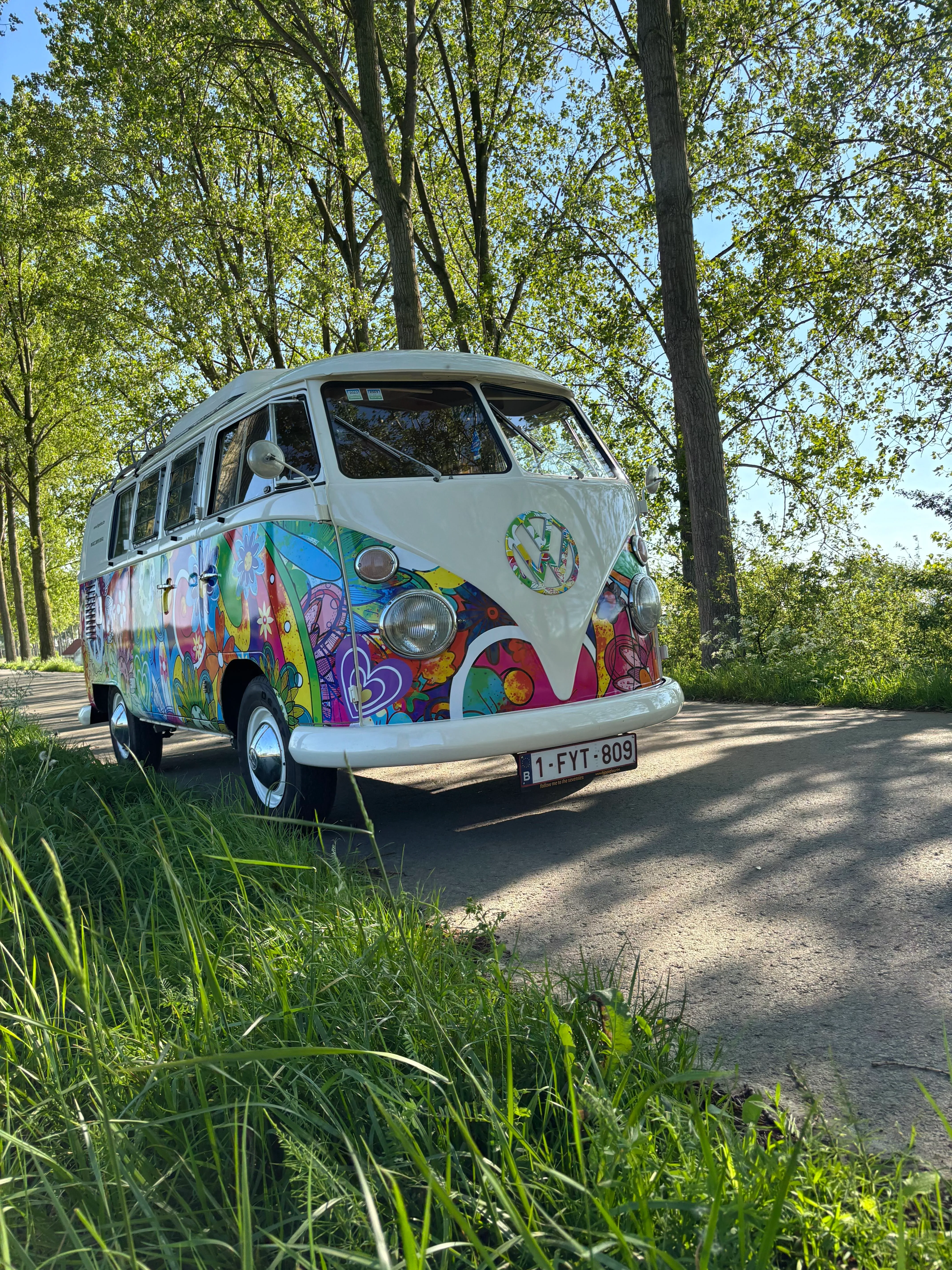 T1 S042 Flower power