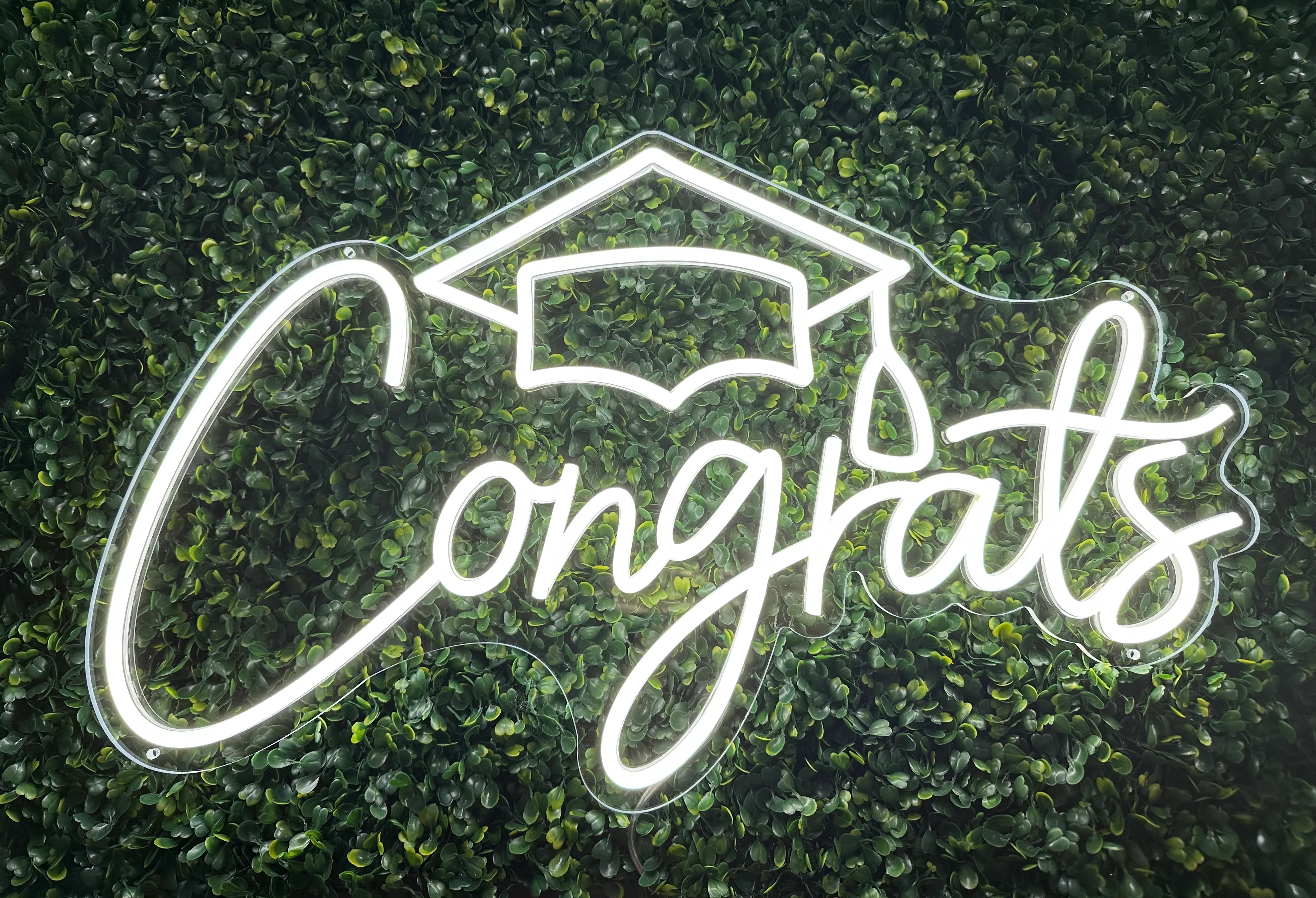 Congrats Neon Sign