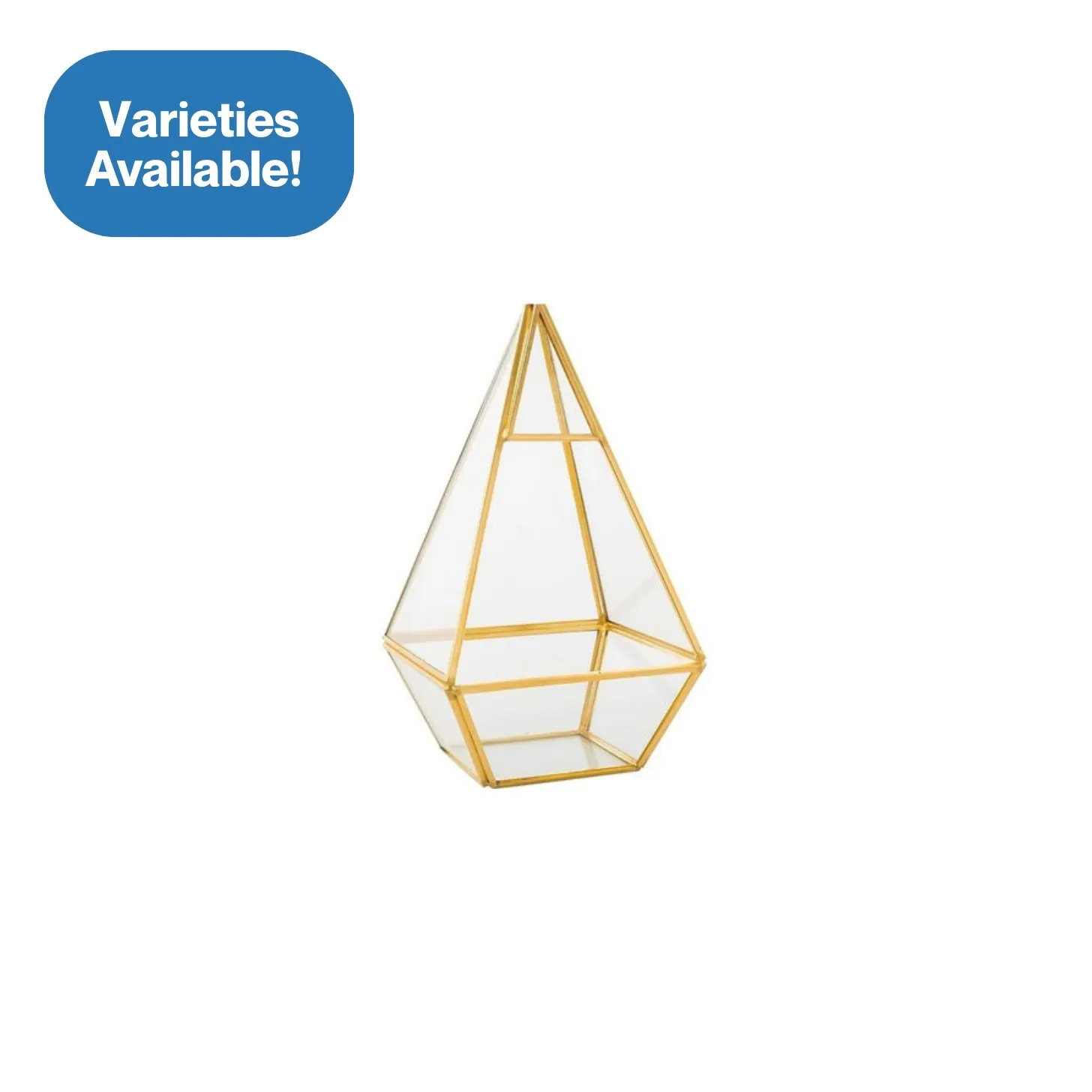 Triangle Geometric Terrarium