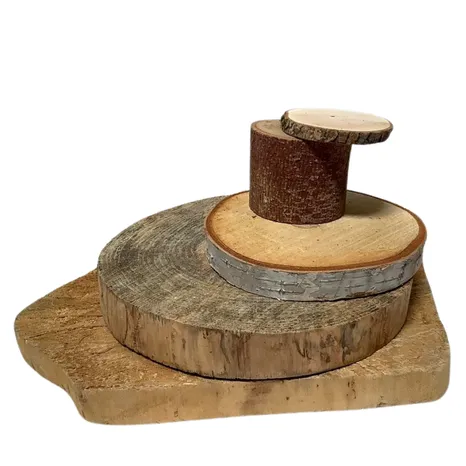 Wood Slices 