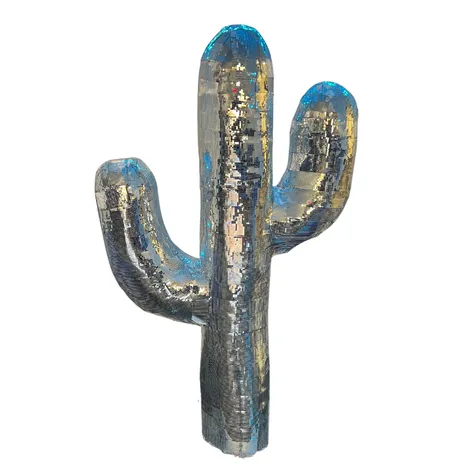 Disco Cactus