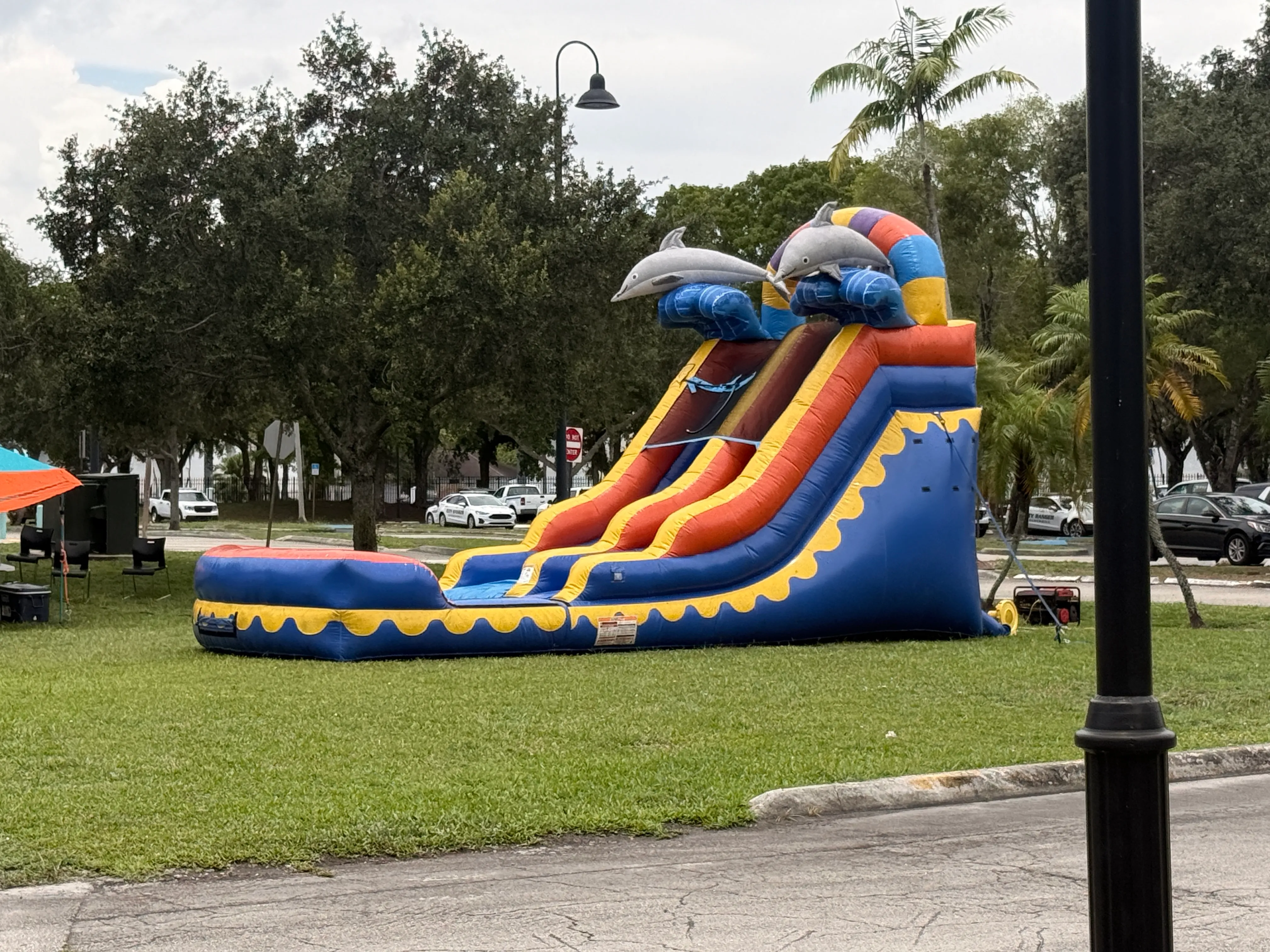 16ft Dolphin Water slide