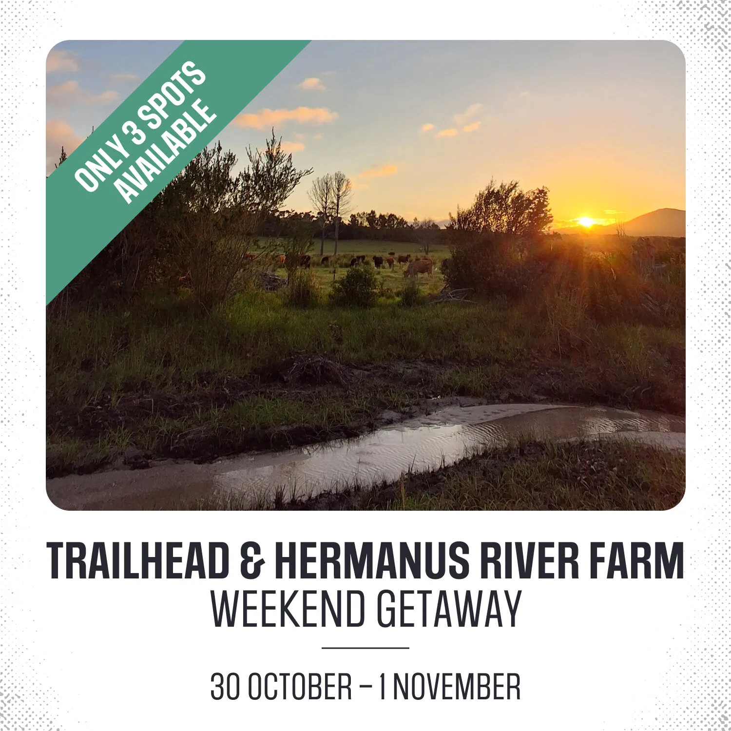 Hermanus River Farm Getaway | 30 Oct. – 1 Nov.