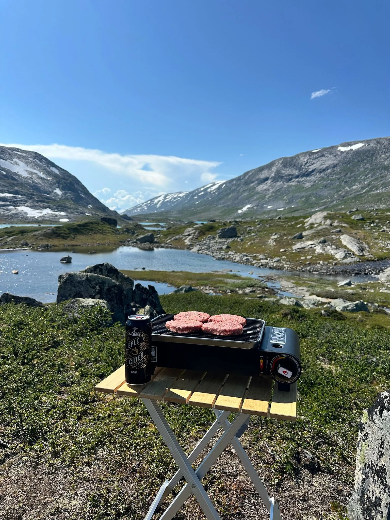 Portable Gas Grill / Gas Included