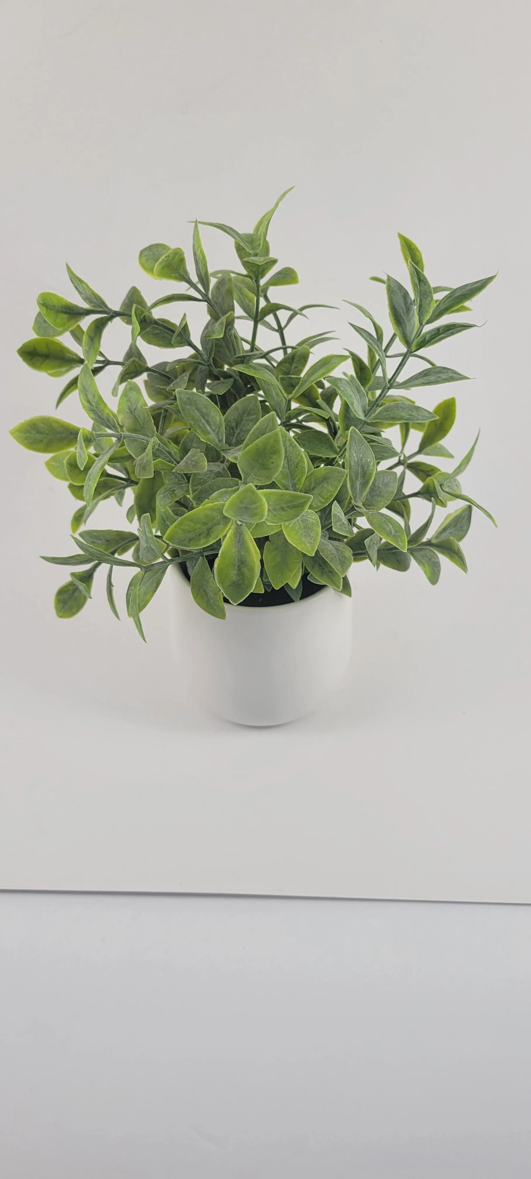 Plant decor