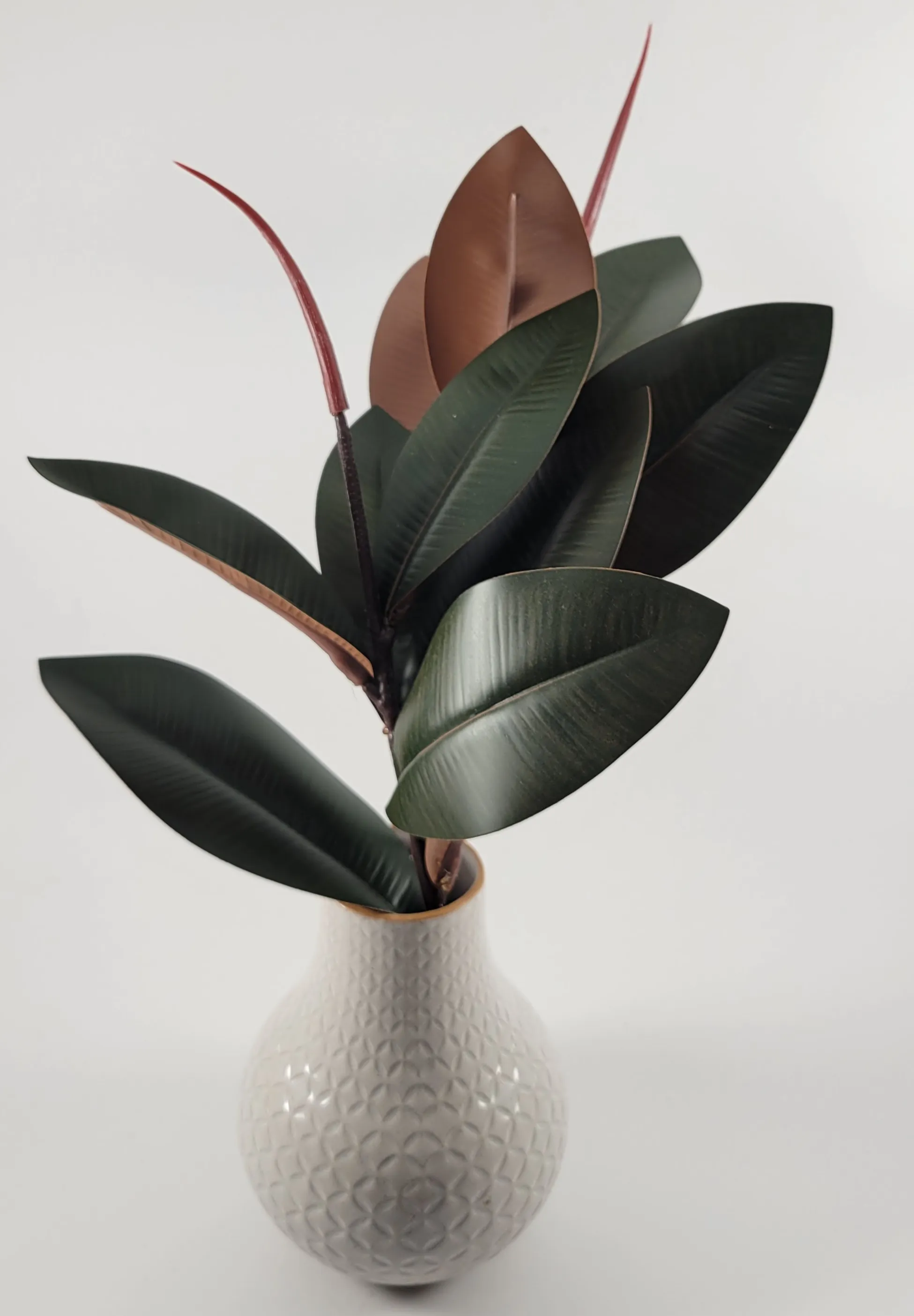 Vase/Flower