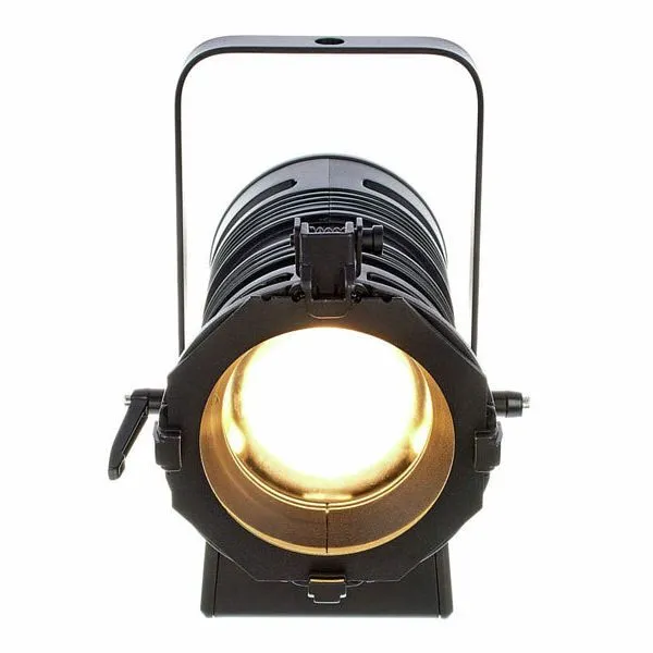 Cameo TS 40 WW LED Fresnell