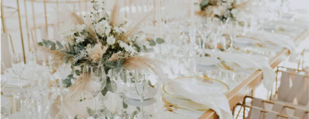 Signature Experience 