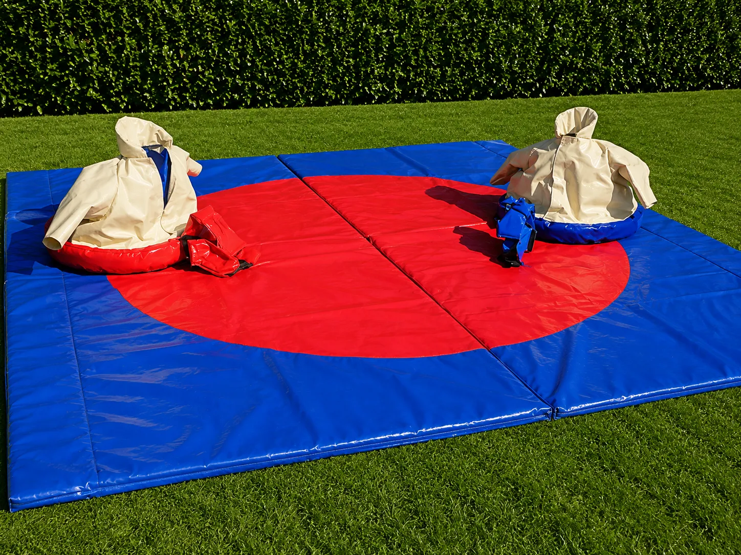 Sumo Worstelen Kinderen