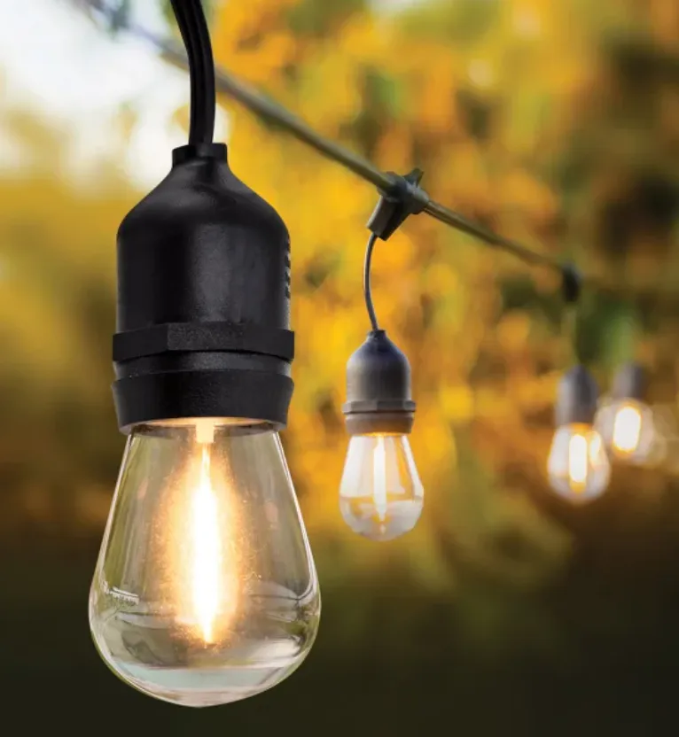 48 Ft Black String Lights (24 LED Bulbs)