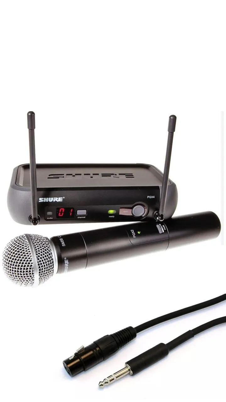 Shure Wireless Microphone & Receiver System