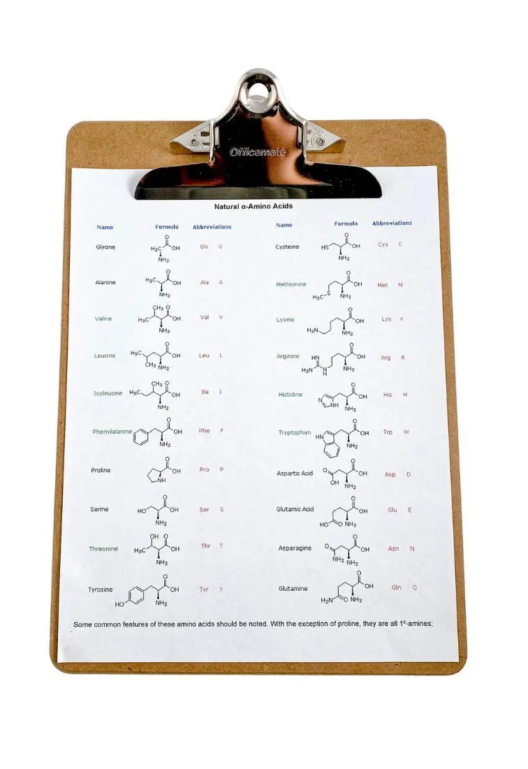 Clip Board with Molecule Chart