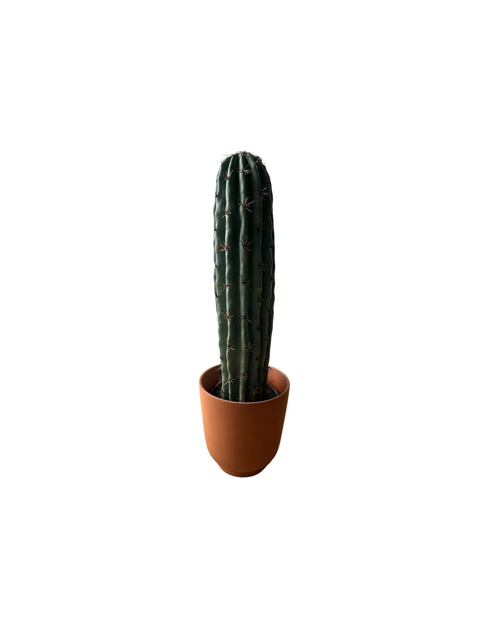 Large Faux Cactus