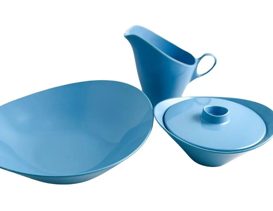 Vintage Blue Floral Melamine Service Set